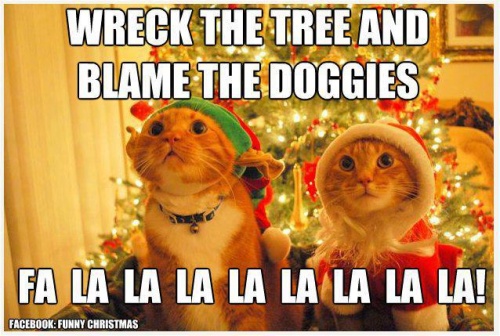 thurs-thoughts-christmas-tree-cats.jpg